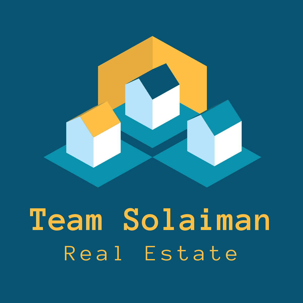 Team Solaiman Real Estate logo
