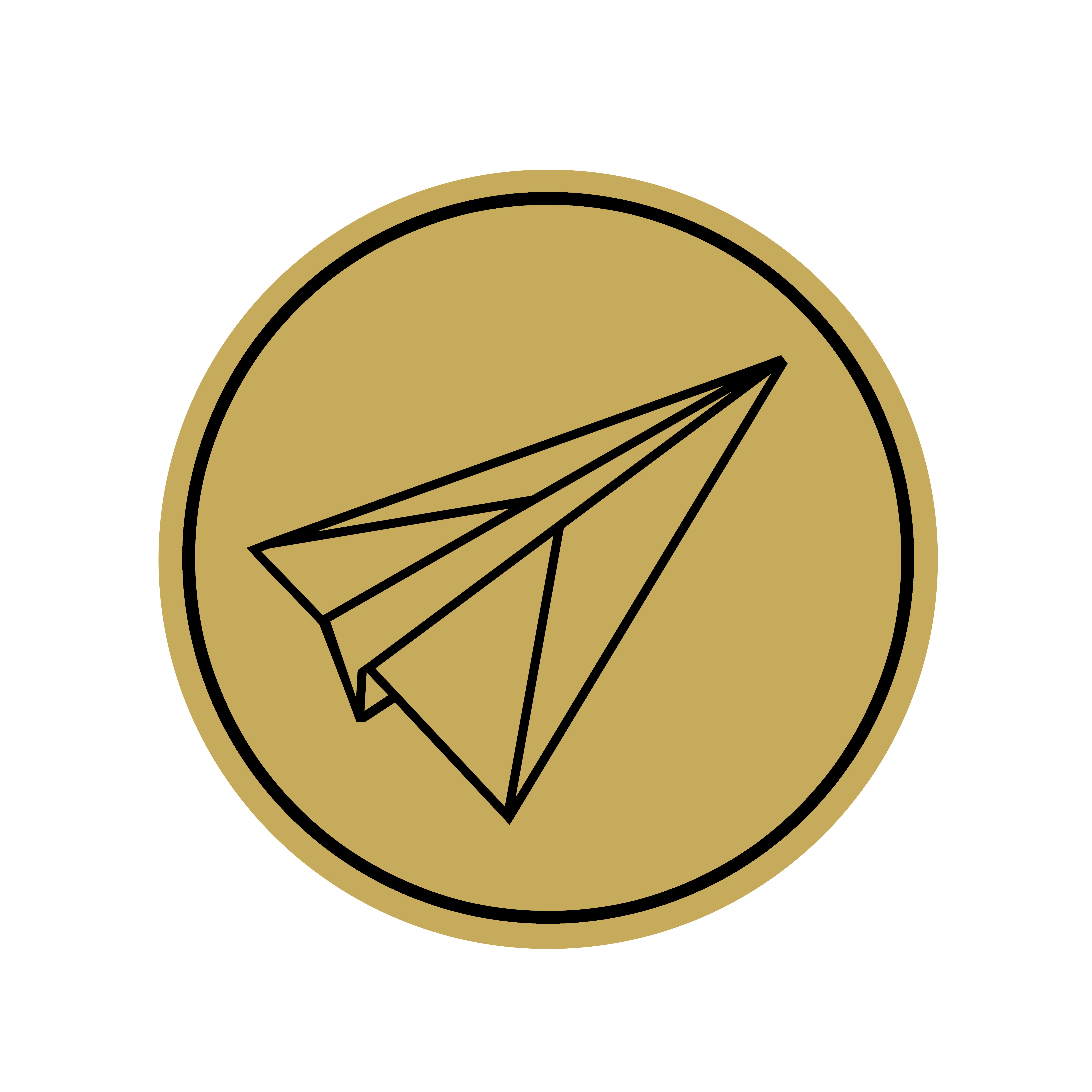 Paper Plane Group logo