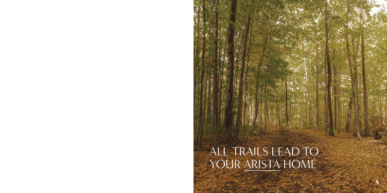 Leaf-covered woodland trail through tall trees at the Vellore woodlot — All trails lead to your Arista home