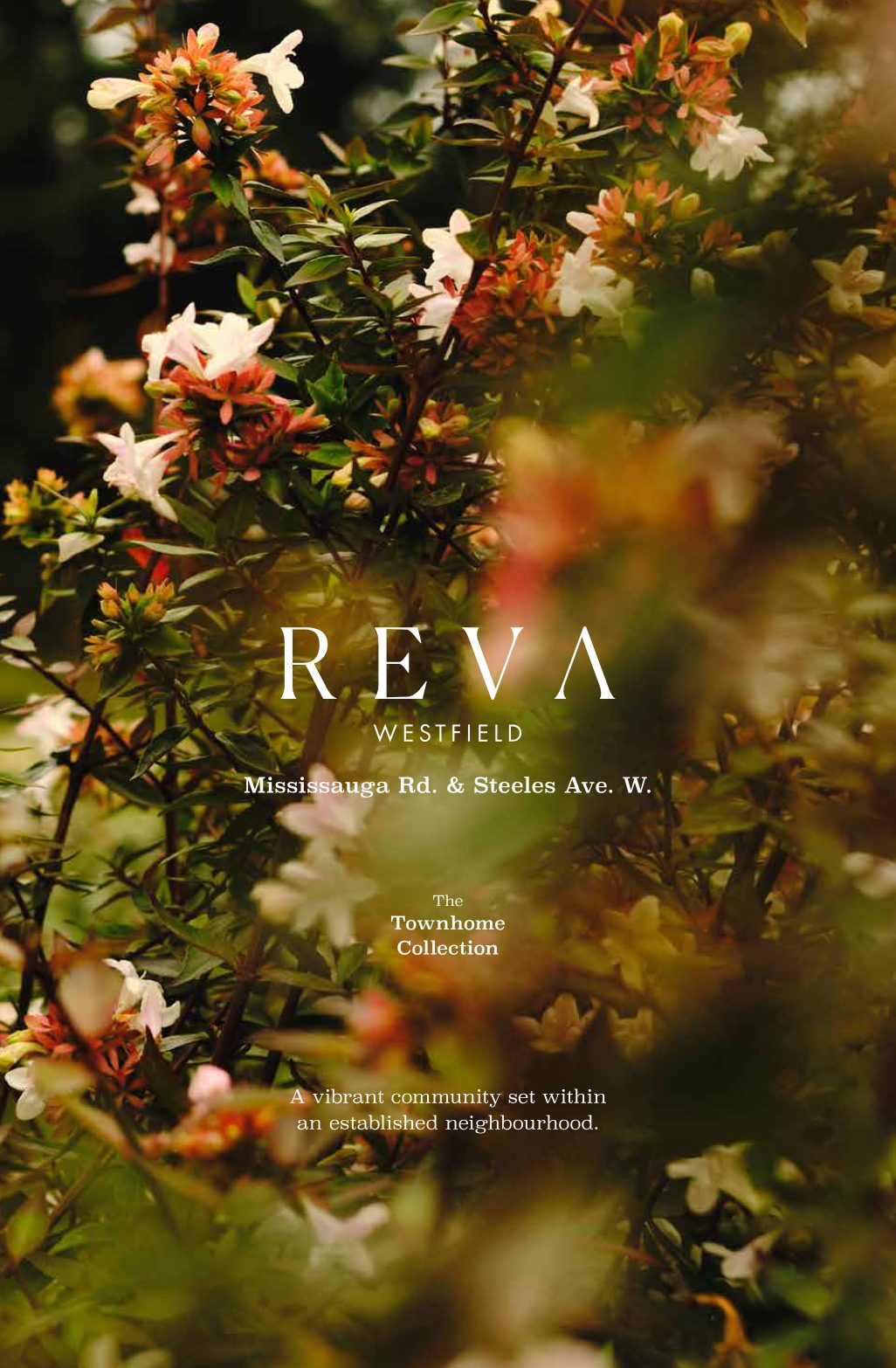 Reva at Westfield — flowering community backdrop