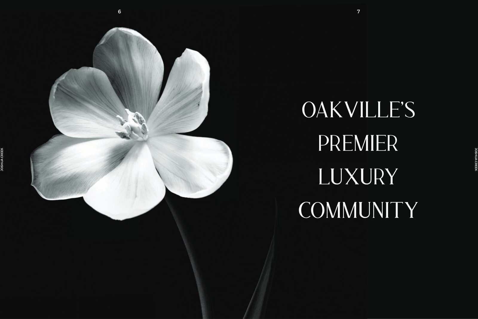 Black and white tulip — Oakville's Premier Luxury Community