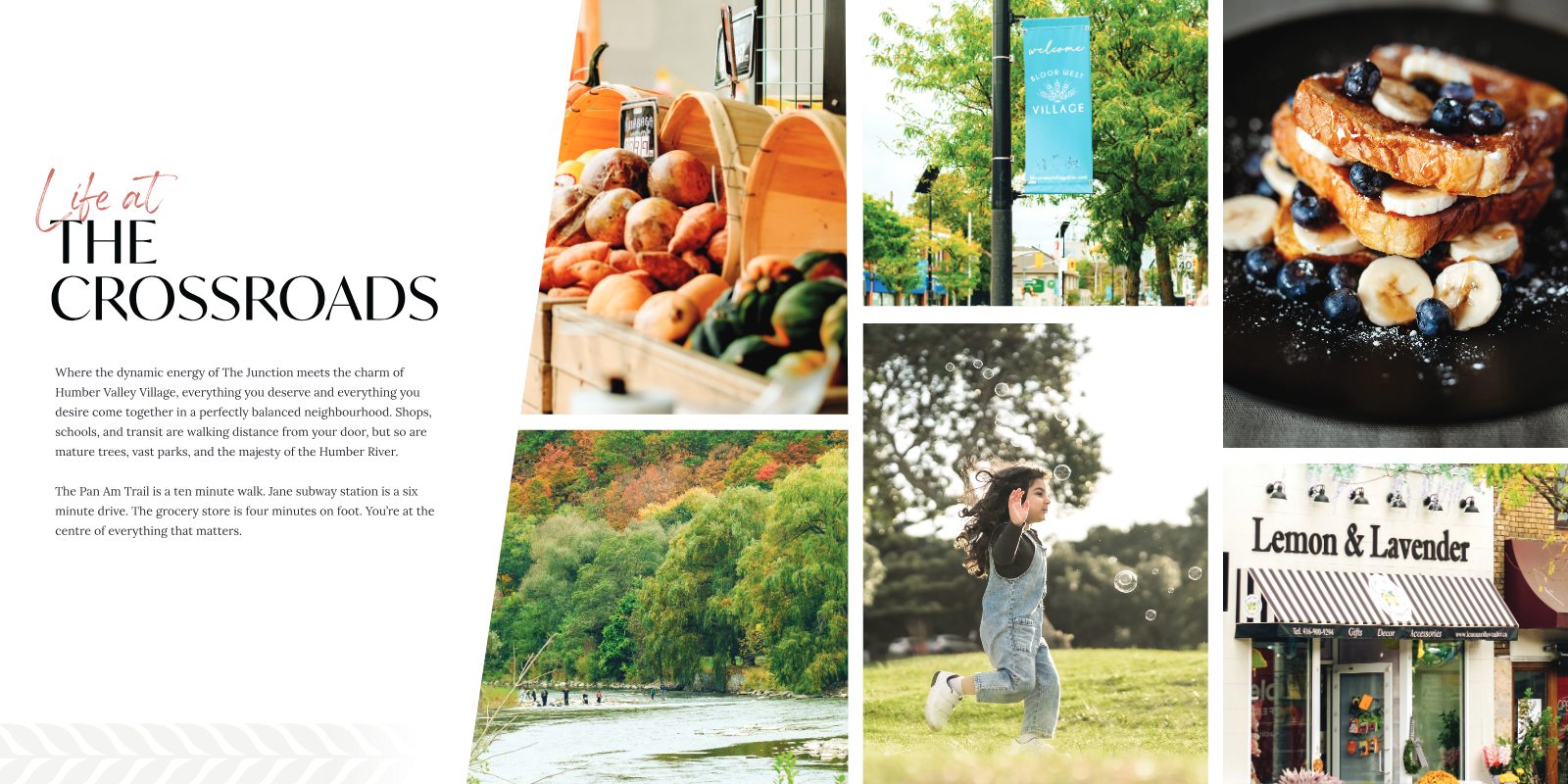 Neighbourhood collage: farmers market produce, the Humber River in autumn, Bloor West Village banner, child playing in a park, brunch and local shops